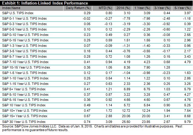 S&P U.S. TIPS Indices-Total Rate of Return Performance